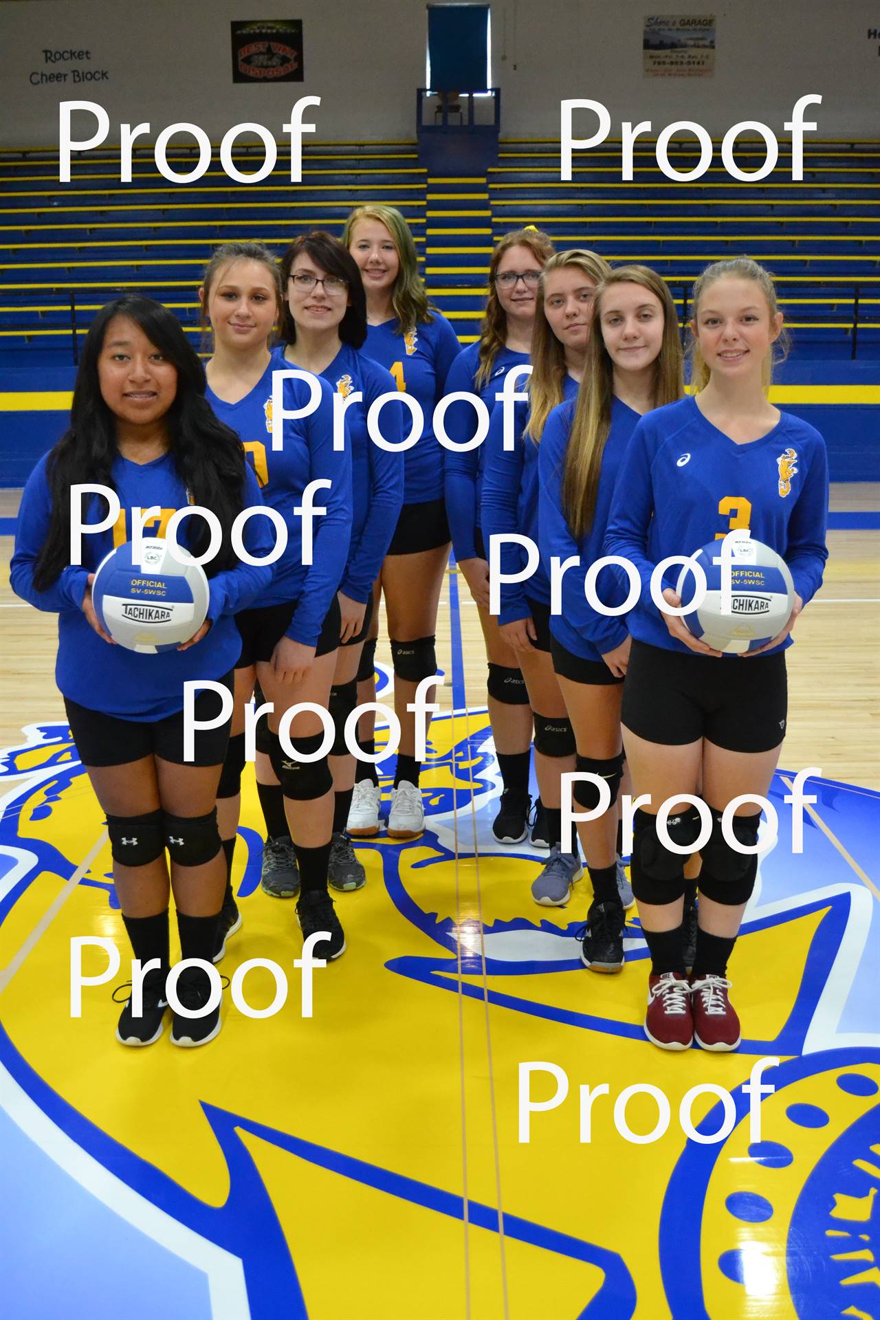 volleyball proof 3