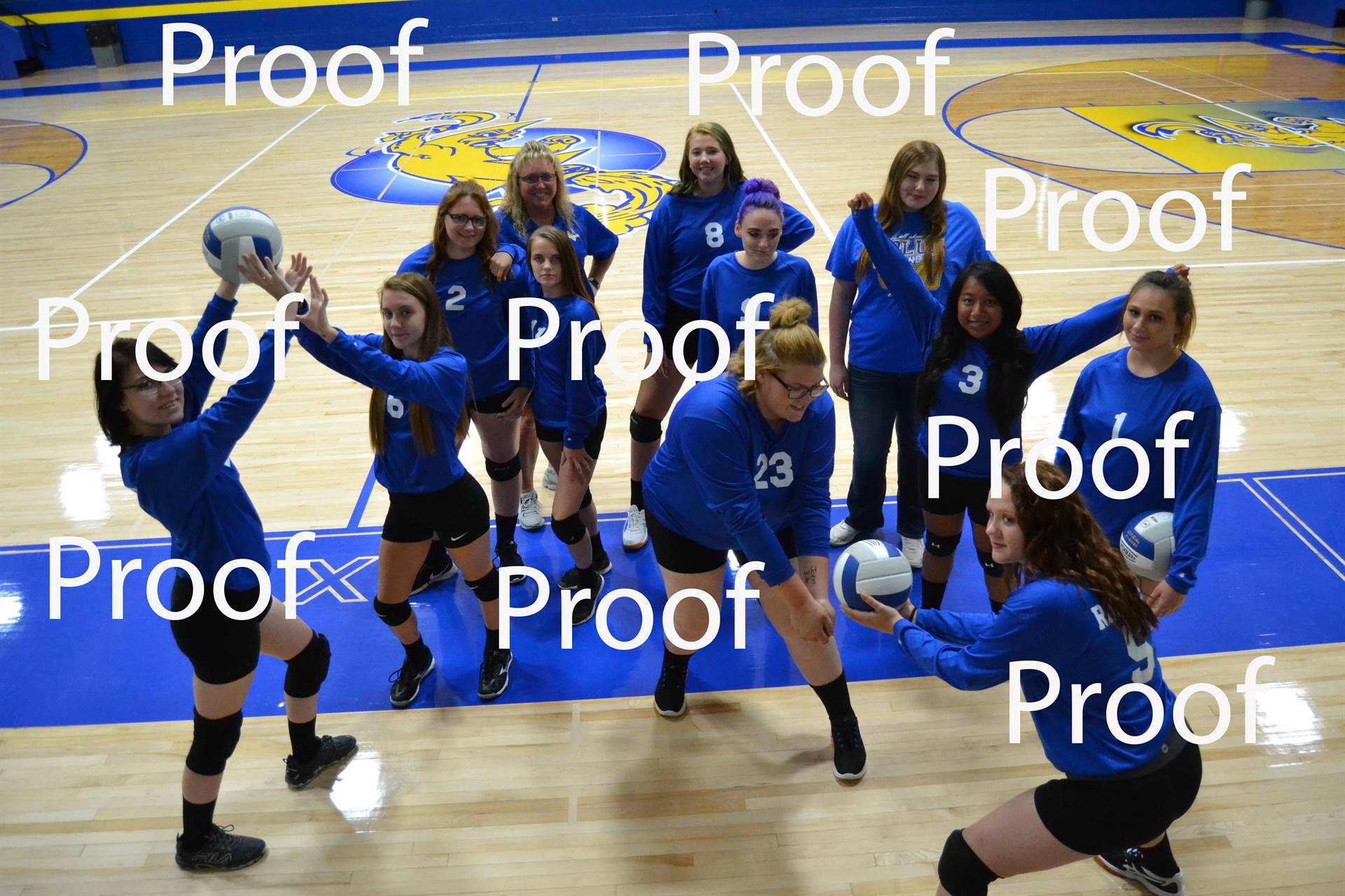 volleyball proof 6